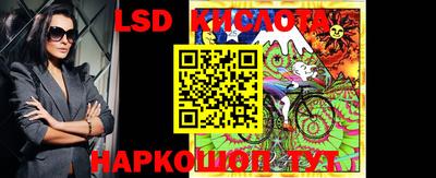 дмт Аргун