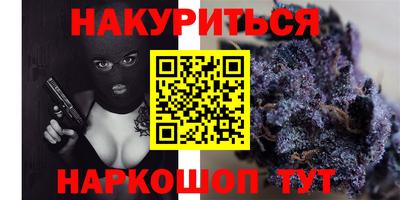 дмт Аргун