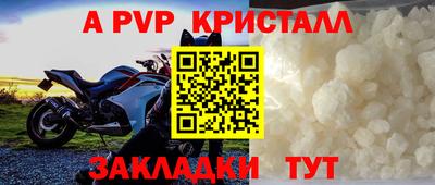 дмт Аргун