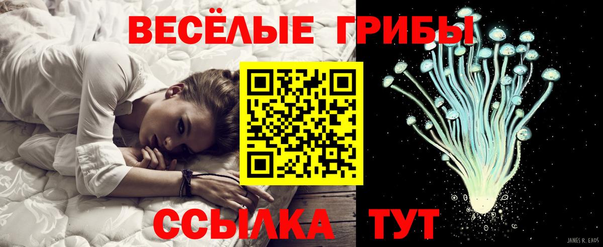 Псилоцибиновые грибы GOLDEN TEACHER Благодарный